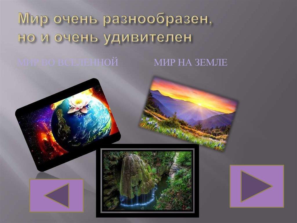 Мир очень разнообразен, но и очень удивителен