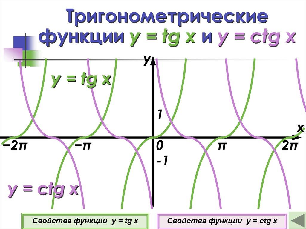 Тригонометрические функции y = tg x и y = ctg x