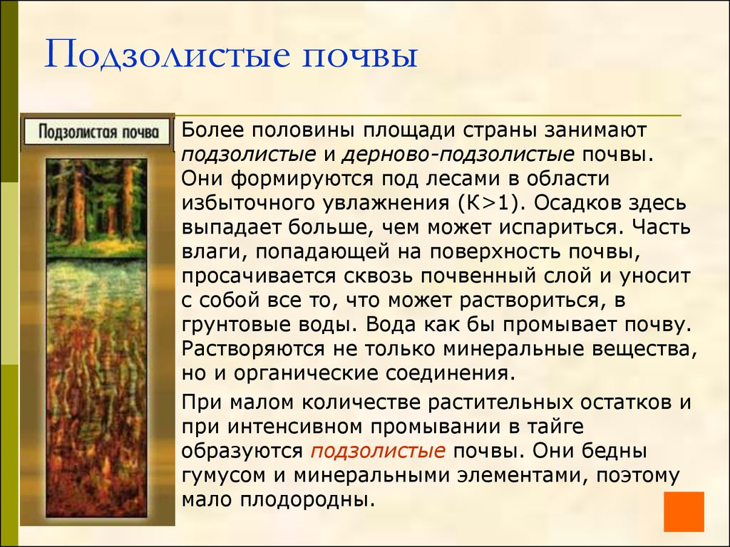 Подзолистые почвы