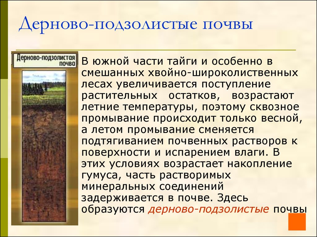 Дерново-подзолистые почвы