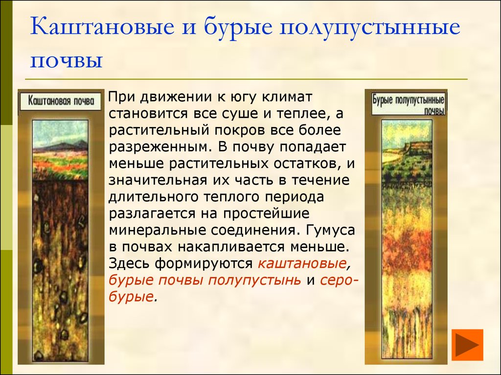 Каштановые и бурые полупустынные почвы