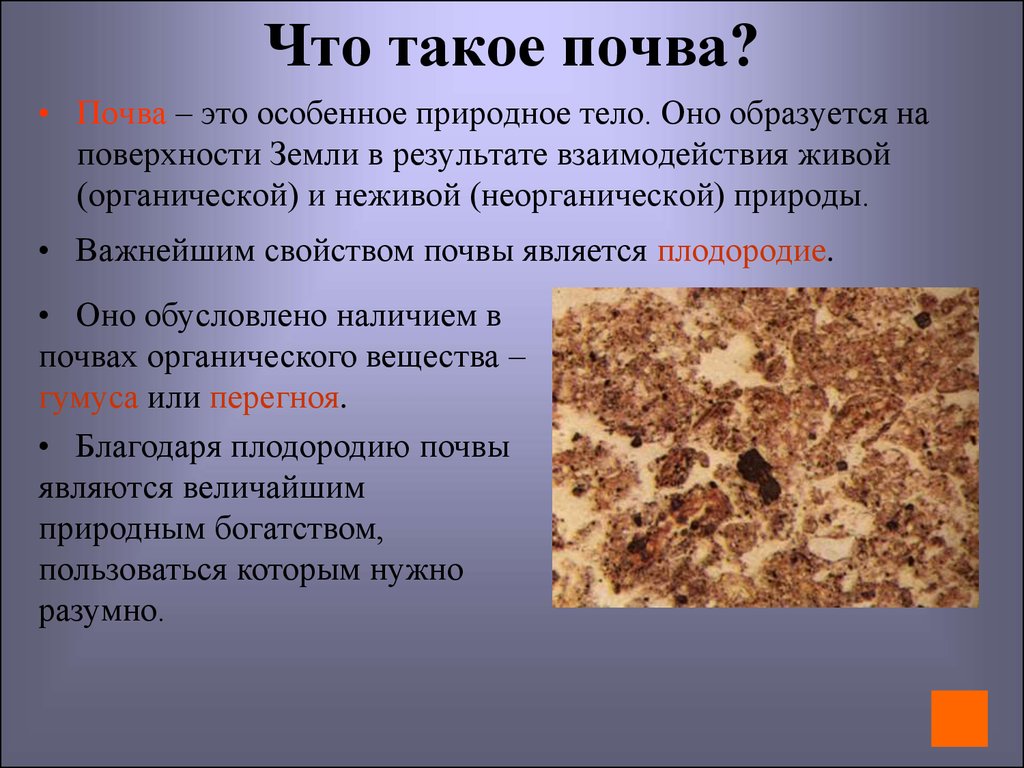 Что такое почва?