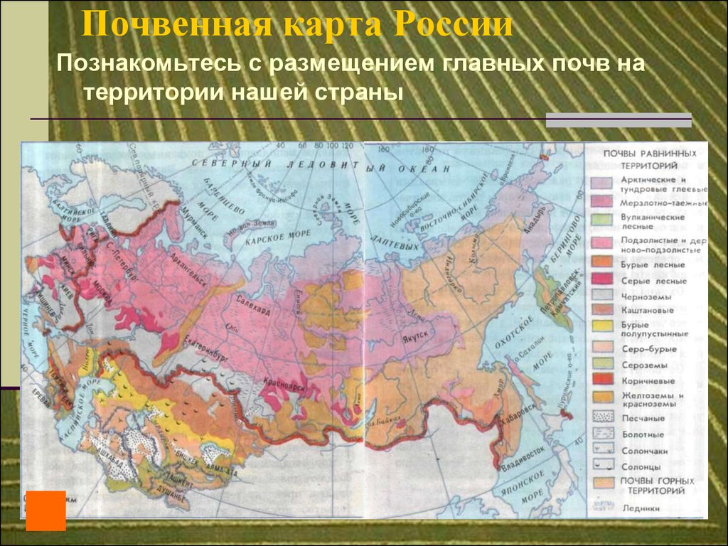 Почвенная карта России