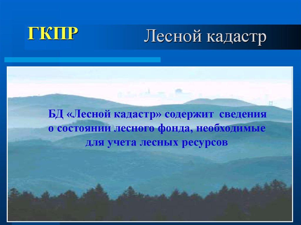 Лесной кадастр