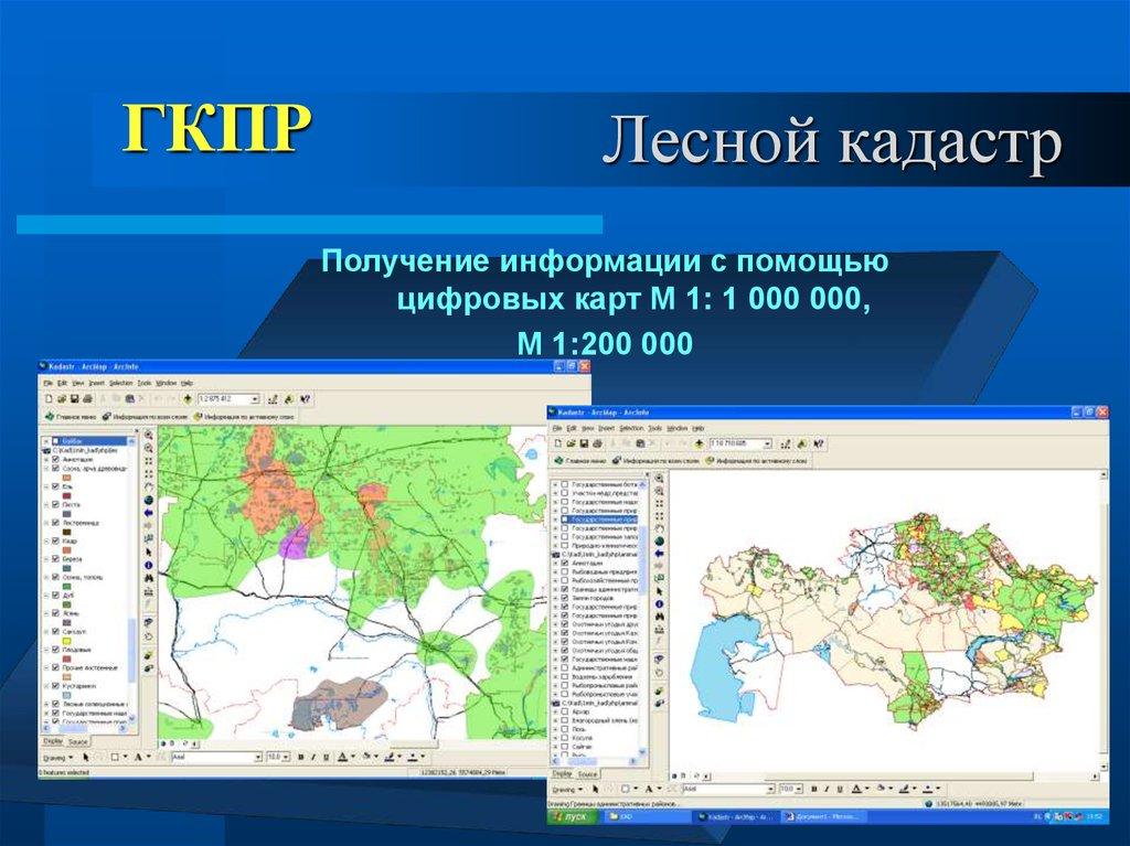 Лесной кадастр