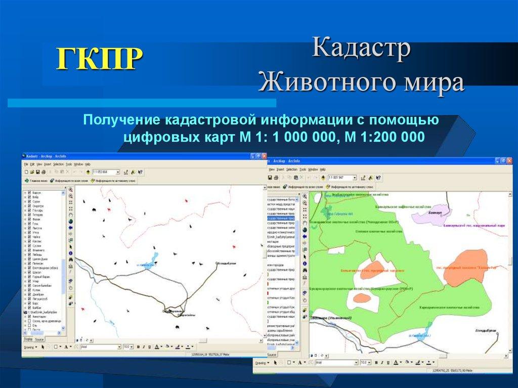 Кадастр Животного мира