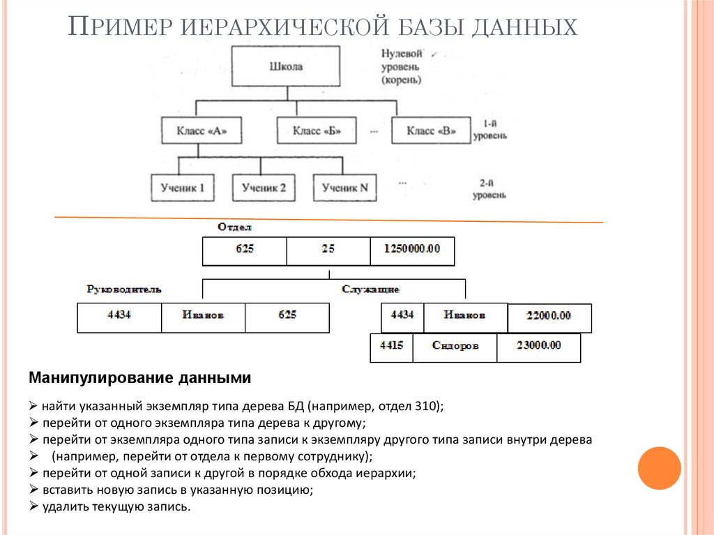 Пример иерархической базы данных