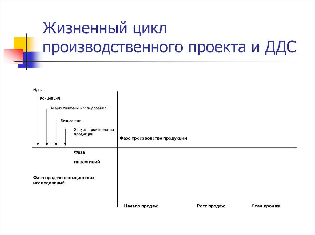 Жизненный цикл производственного проекта и ДДС