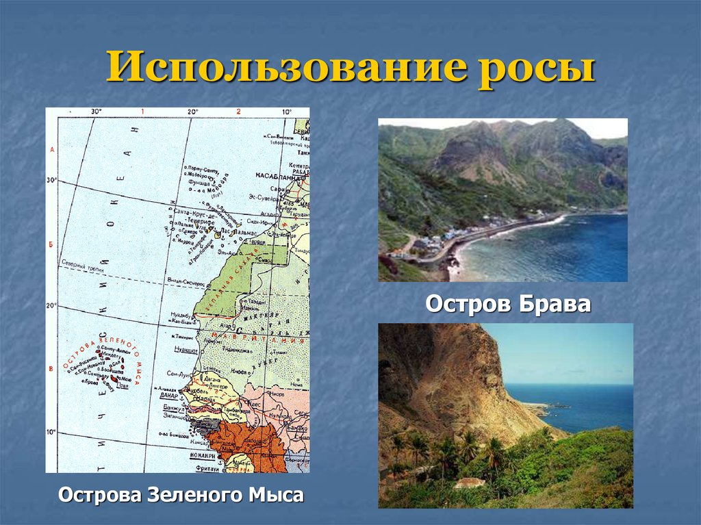 Использование росы