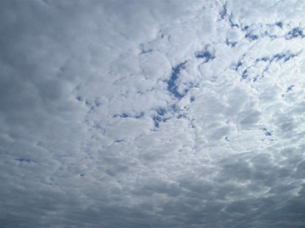 Слоистые облака