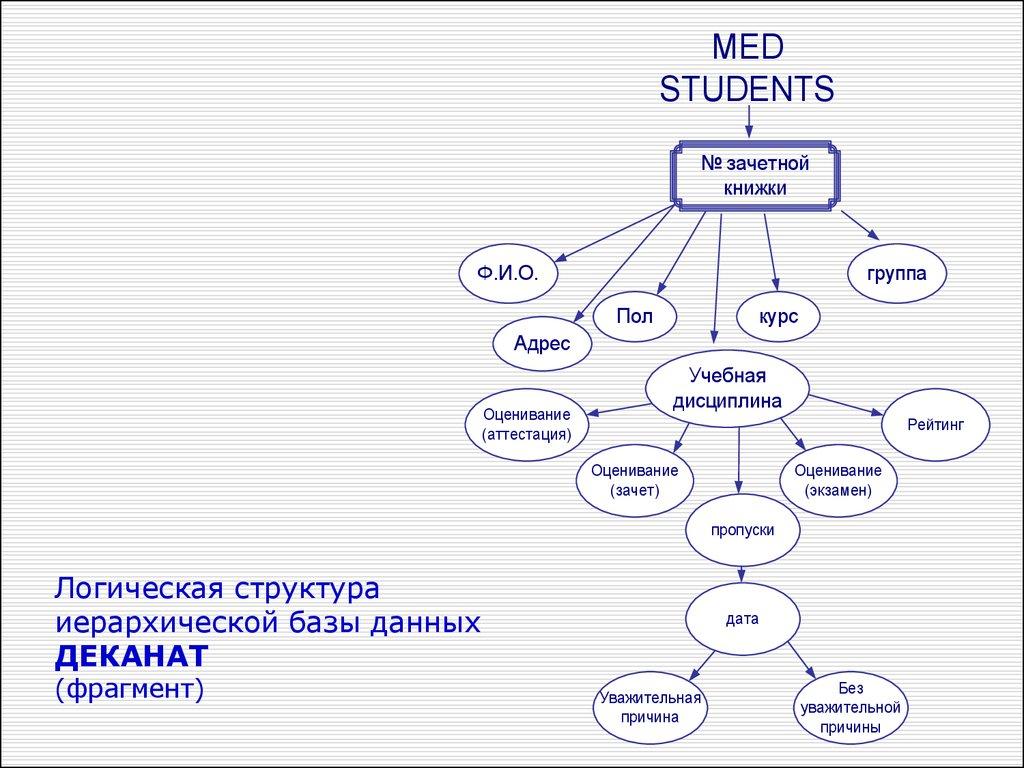 Логическая структура иерархической базы данных ДЕКАНАТ (фрагмент)