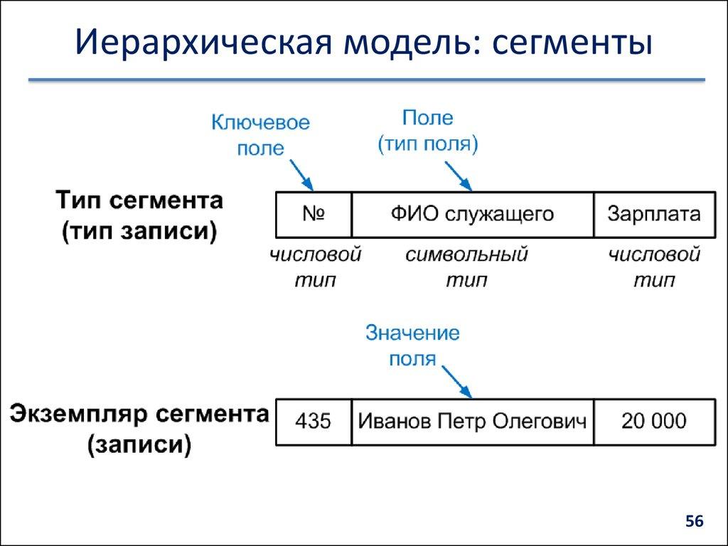 Иерархическая модель: сегменты