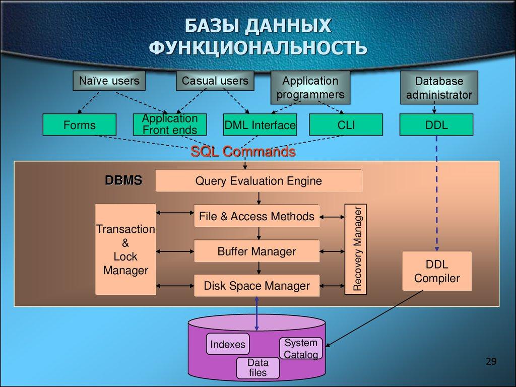 БАЗЫ ДАННЫХ ФУНКЦИОНАЛЬНОСТЬ