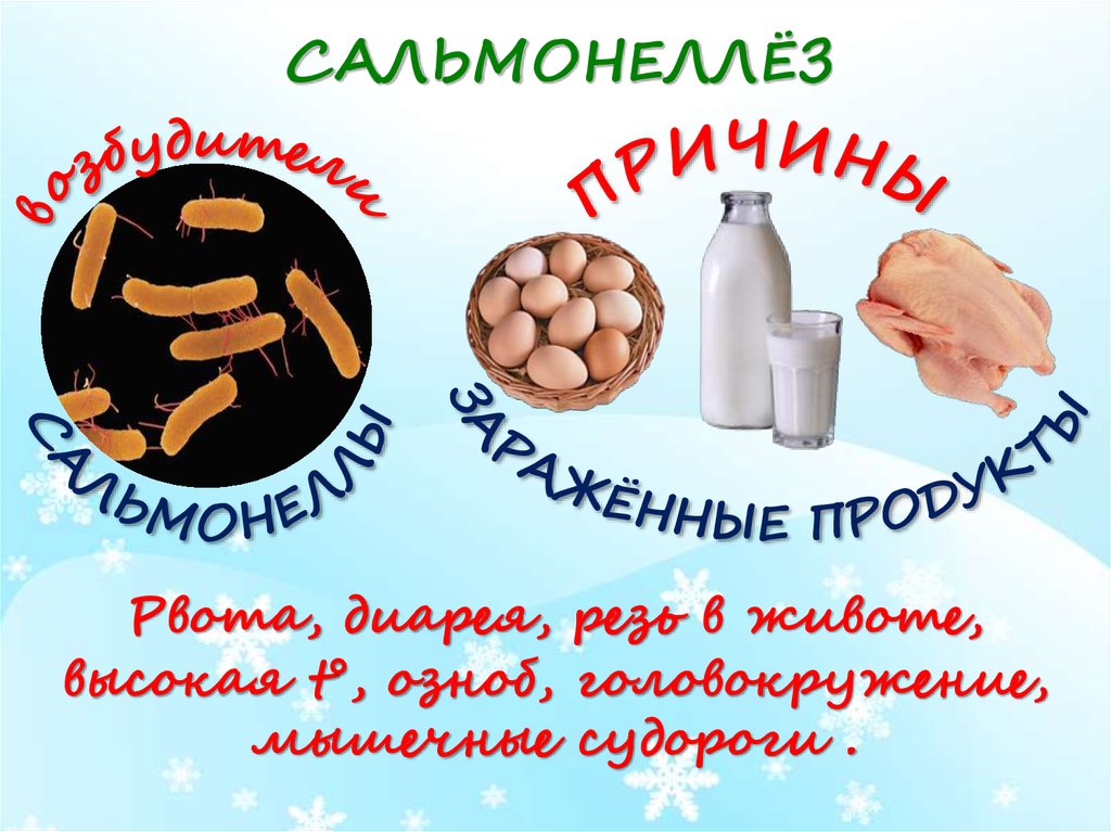 САЛЬМОНЕЛЛЁЗ