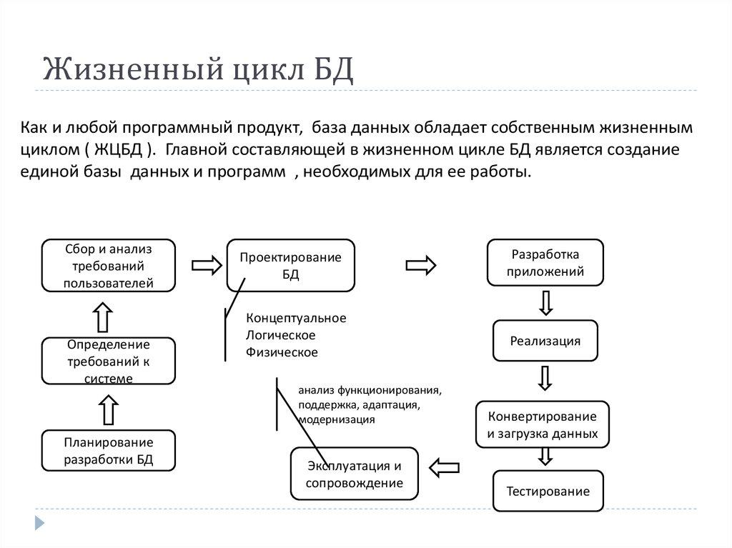Жизненный цикл БД