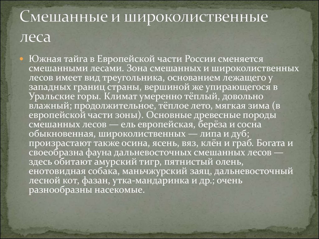 Смешанные и широколиственные леса