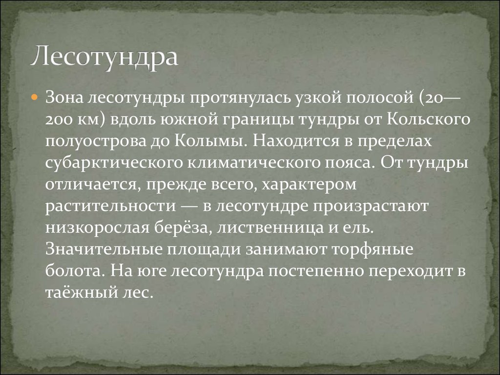 Лесотундра