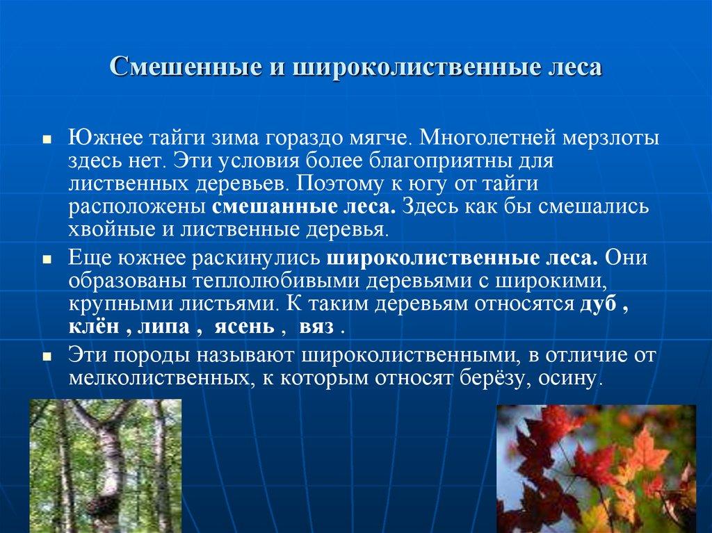 Смешенные и широколиственные леса