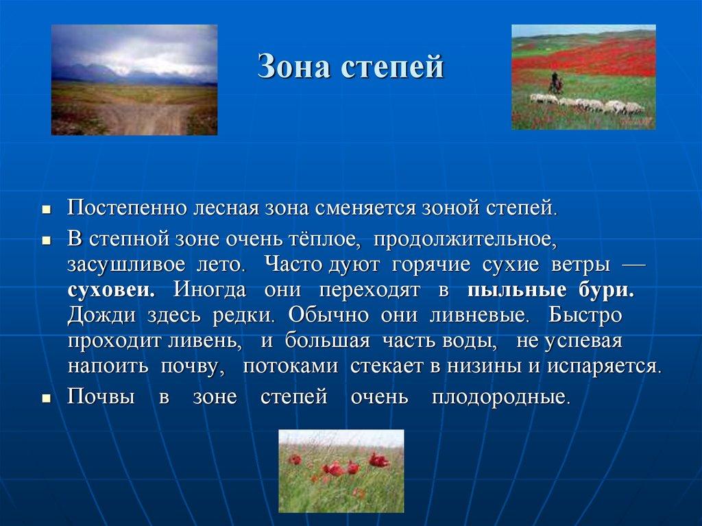 Зона степей