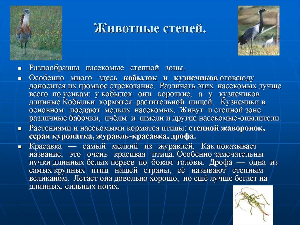 Животные степей.
