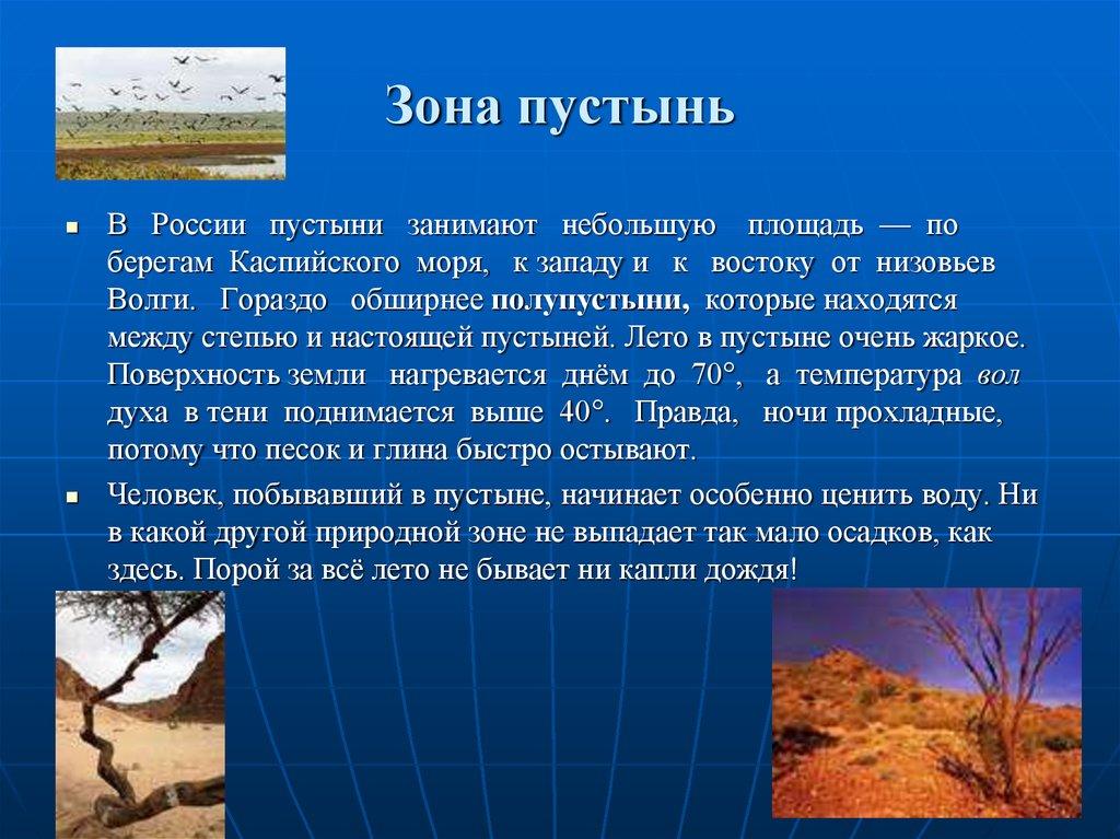 Зона пустынь