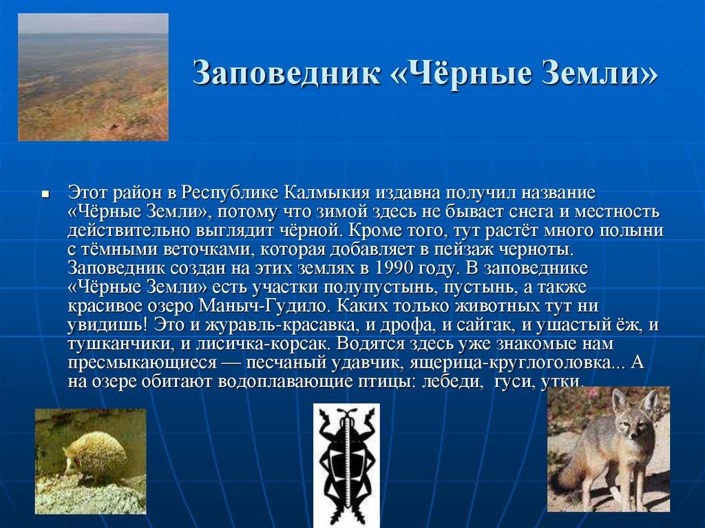 Заповедник «Чёрные Земли»