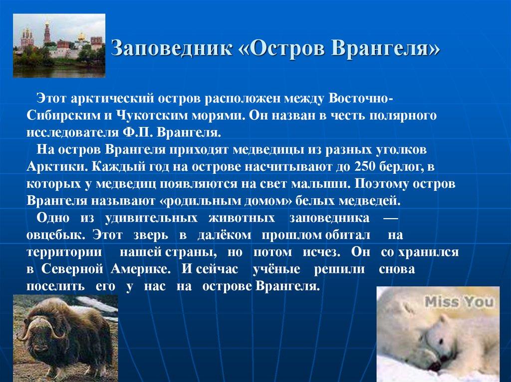 Заповедник «Остров Врангеля»
