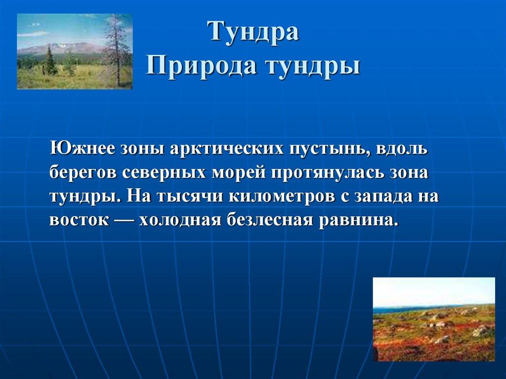 Тундра Природа тундры