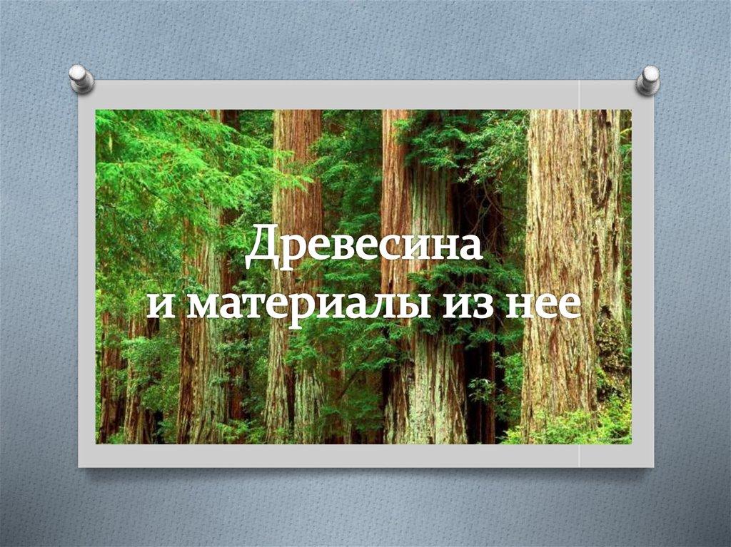 Древесина и материалы из нее