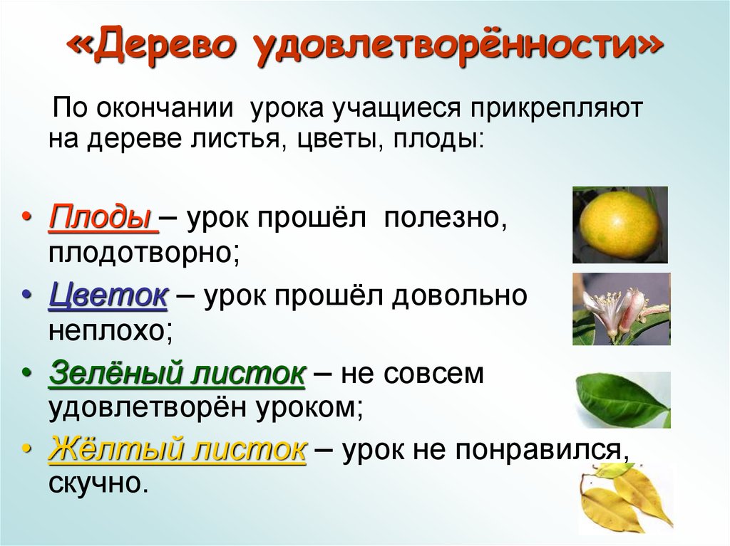 «Дерево удовлетворённости»