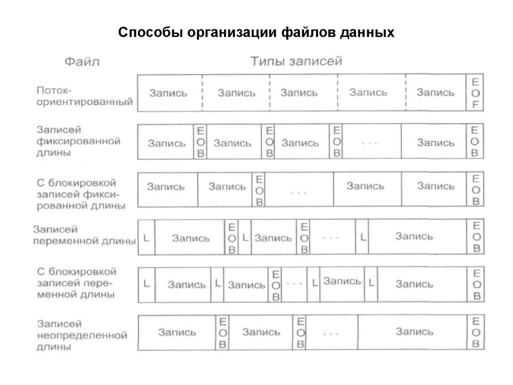 Способы организации файлов данных