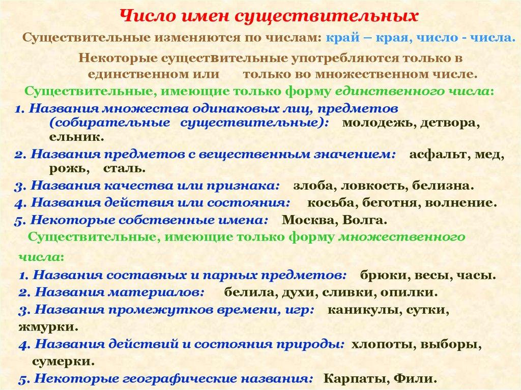 Число имен существительных