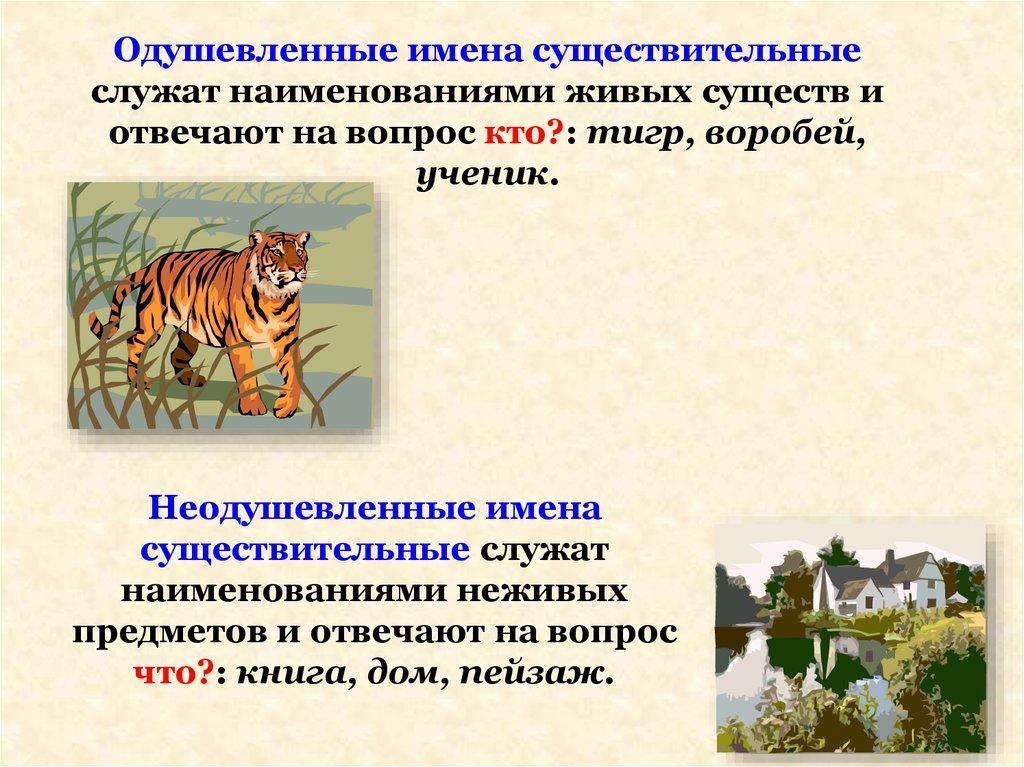 Одушевленные имена существительные служат наименованиями живых существ и отвечают на вопрос кто?: тигр, воробей, ученик.