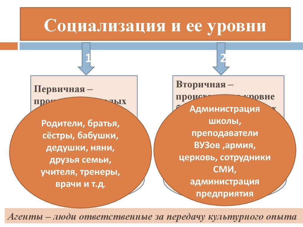 Социализация и ее уровни