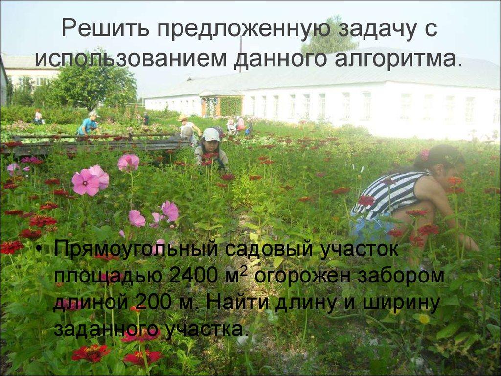 Решить предложенную задачу с использованием данного алгоритма.