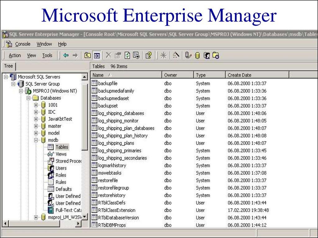 Microsoft Enterprise Manager 