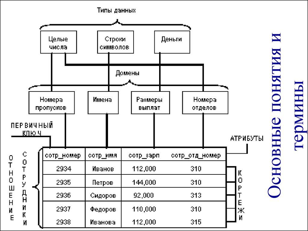 Основные понятия и термины
