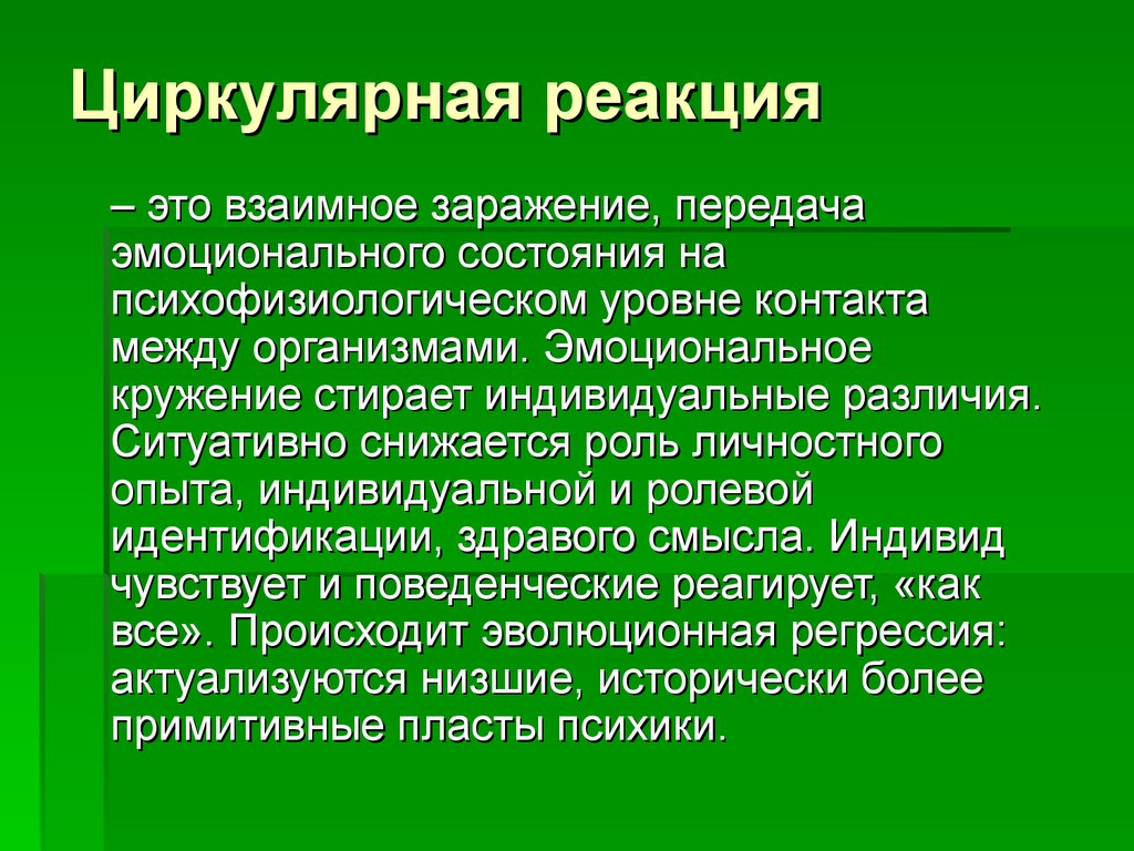 Циркулярная реакция