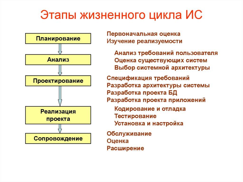 Этапы жизненного цикла ИС