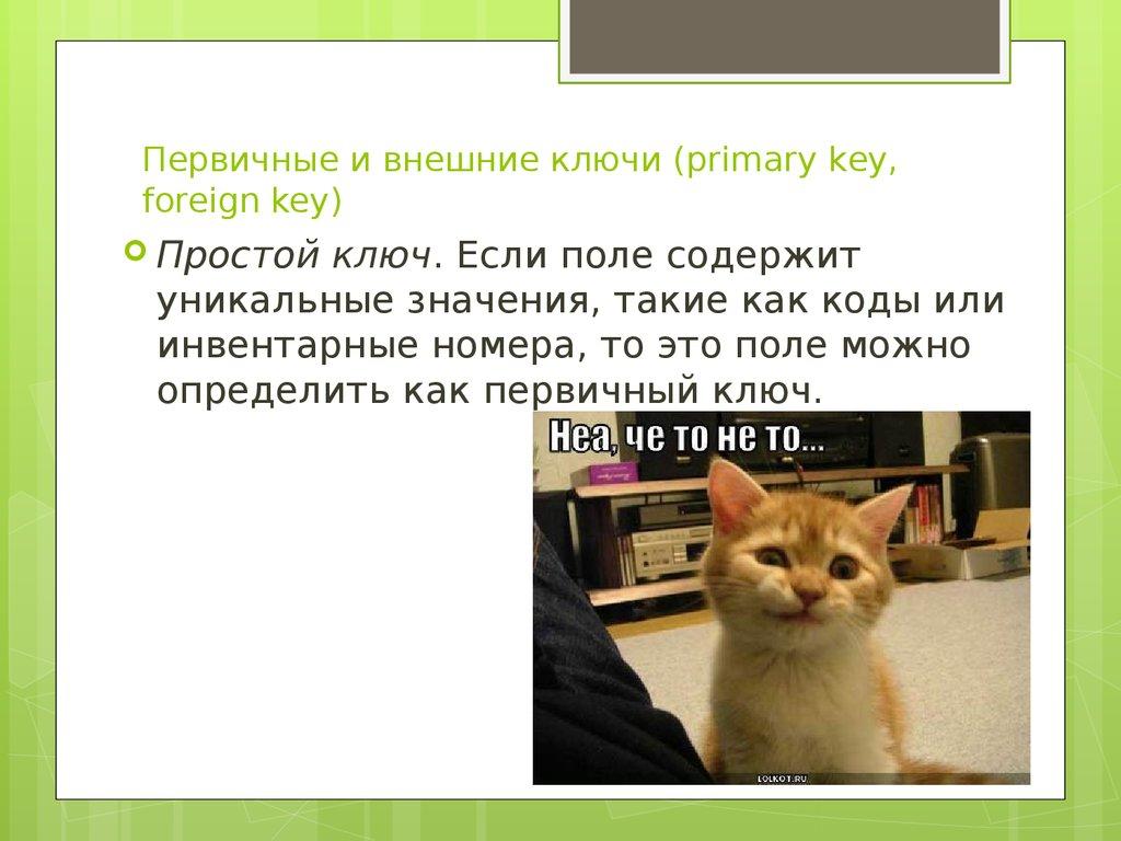 Первичные и внешние ключи (primary key, foreign key)