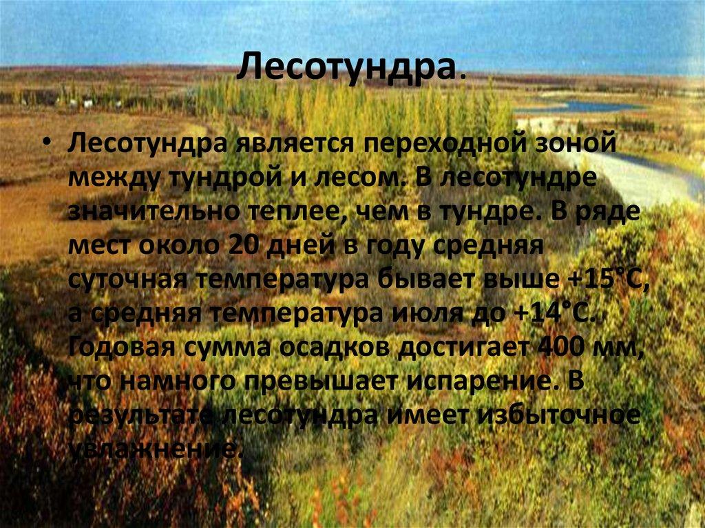 Лесотундра.