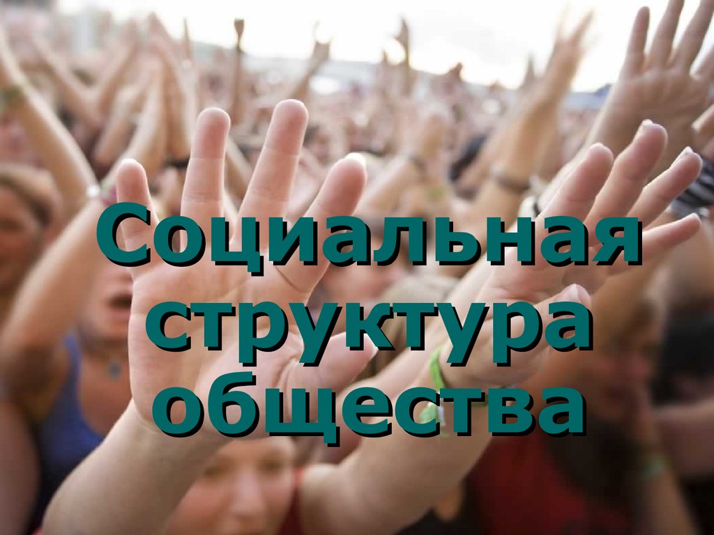 Социальная структура общества