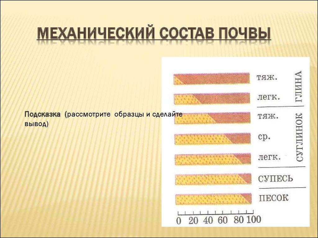 Механический состав почвы