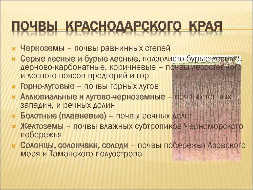 ПОЧВЫ КРАСНОДАРСКОГО КРАЯ