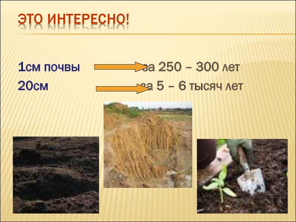 Это интересно!