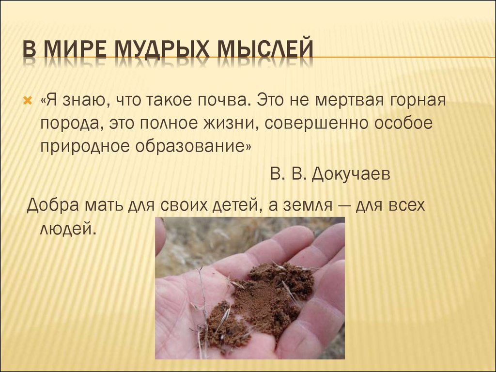 В мире мудрых мыслей