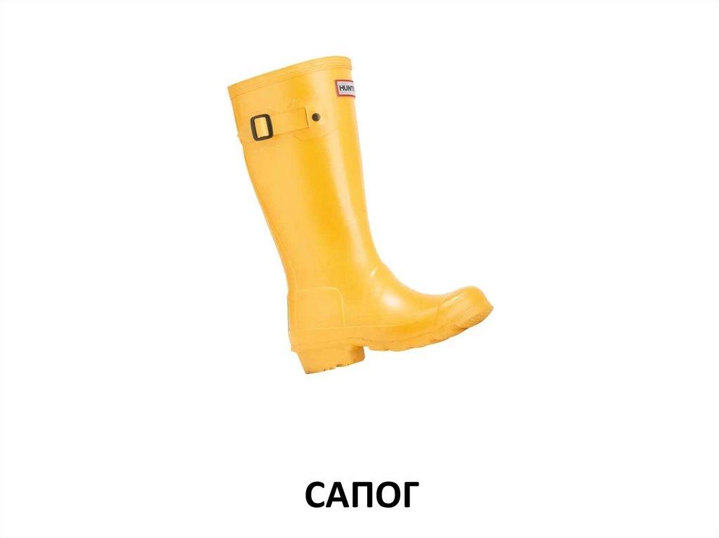 сапог