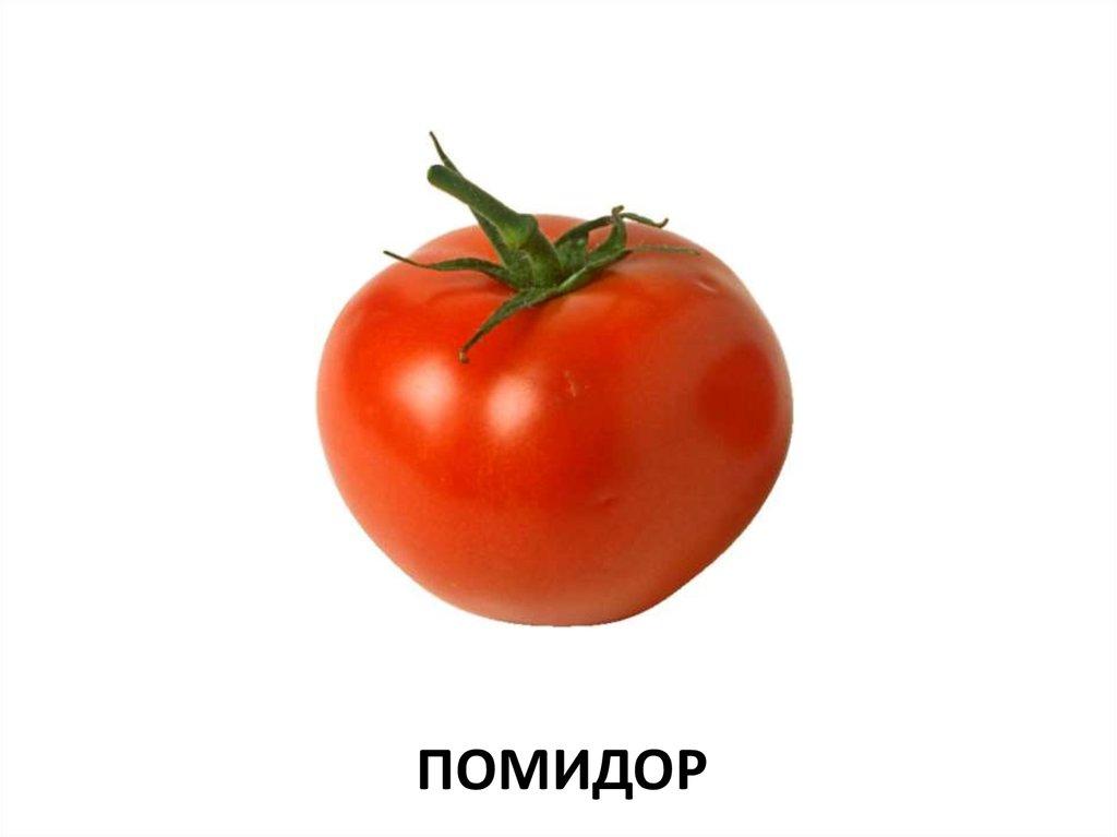 помидор