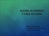 Базы данных СУБД Access