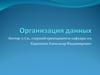 Организация данных. Данные, информация, информационные системы